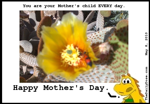 You are your mother's 
child EVERY day. Happy Mother's Day. TheDailyDose.com .