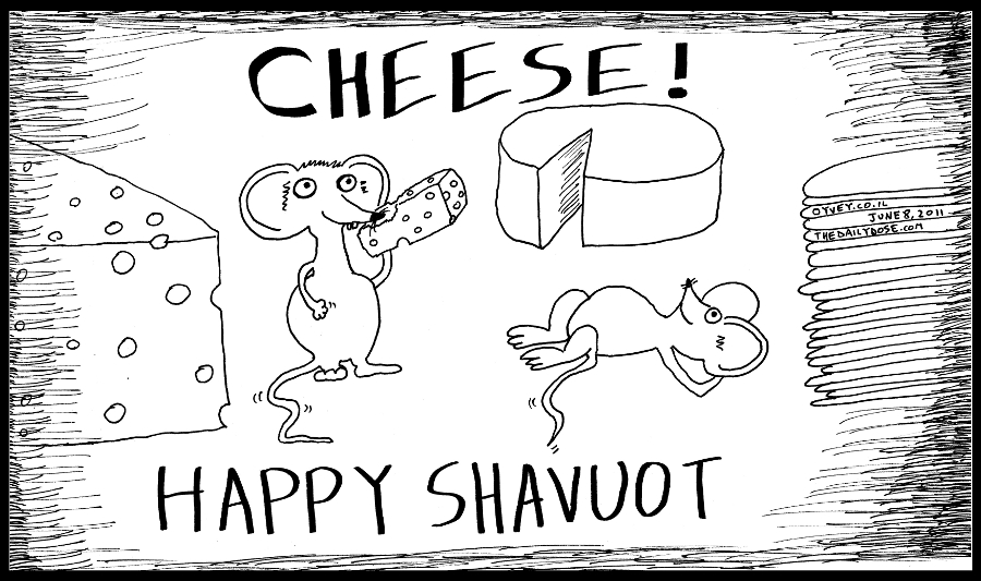 cartoon panel of mice eating cheese on the jewish holiday of shavuot 
satire line drawing art ink on paper 2011 june 8 , from laughzilla for TheDailyDose.com