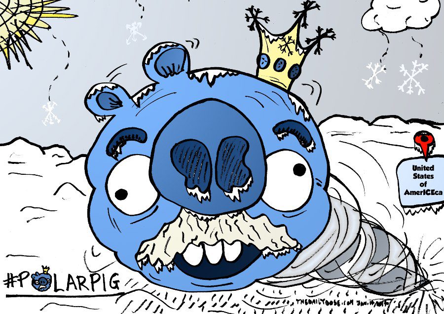 polar vortex pig editorial webcomic by laughzilla for the daily dose from January 14, 2014